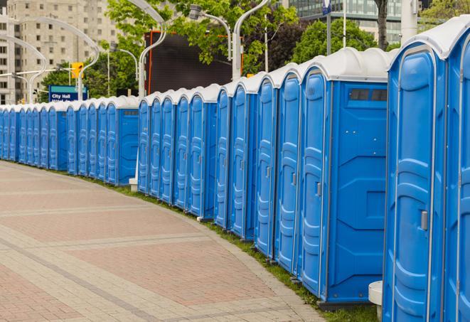 Seasonal porta potty units set up at a Janesville, Wisconsin venue